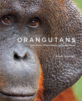 Orangutans: Their History, Natural History and Conservation by Orenstein, Ronald