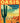 American Oasis: Finding the Future in the Cities of the Southwest by Paoletta, Kyle