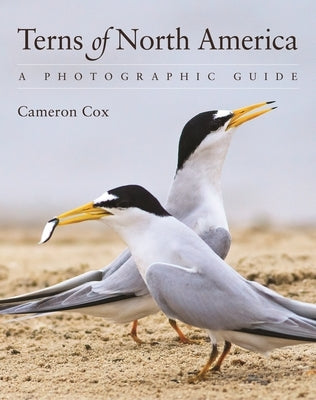 Terns of North America: A Photographic Guide by Cox, Cameron