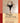 Yoga Sequencing: Designing Transformative Yoga Classes by Stephens, Mark