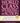 World Class Speaking in Action: 50 Certified World Class Speaking Coaches Show You How to Present, Persuade, and Profit by Valentine, Craig